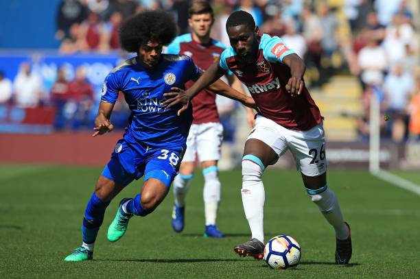 大棠紅葉不 大棠紅葉不