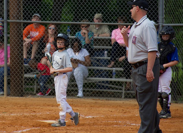 逐渐崭露头 逐渐崭露头